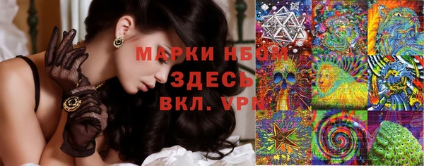 амф Алзамай
